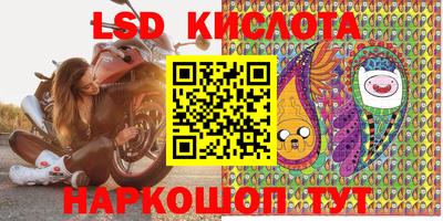 молекула духа Донской