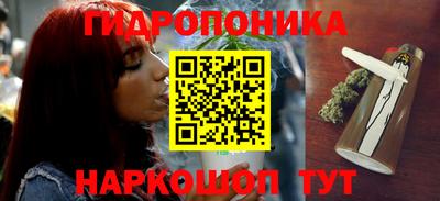 молекула духа Донской