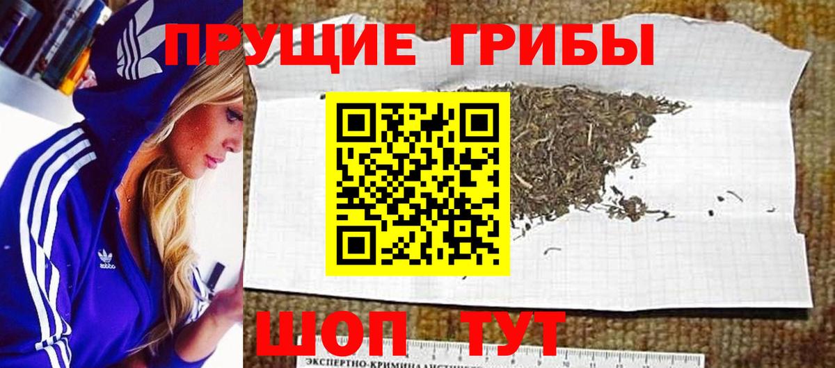 Миллерово  дарнет шоп  Вход с VPN  Галлюциногенные грибы MAGIC MUSHROOMS  Галлюциногенные грибы Psilocybe 