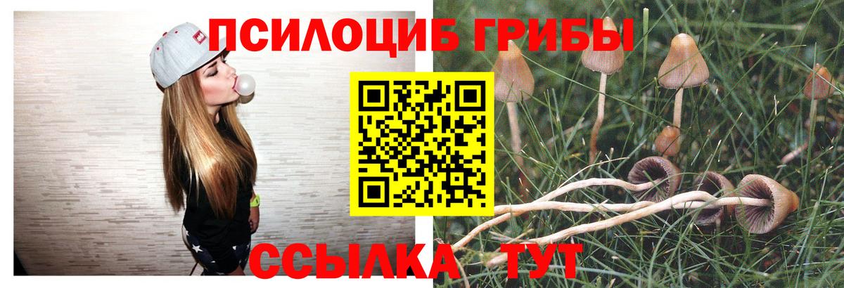 Галлюциногенные грибы GOLDEN TEACHER Миллерово